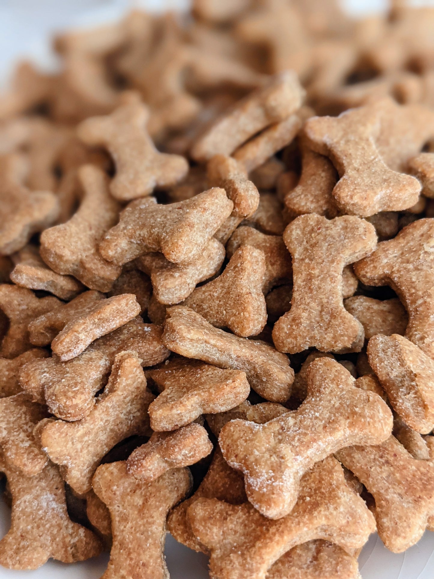 Peanut Butter Bitty Biscuits